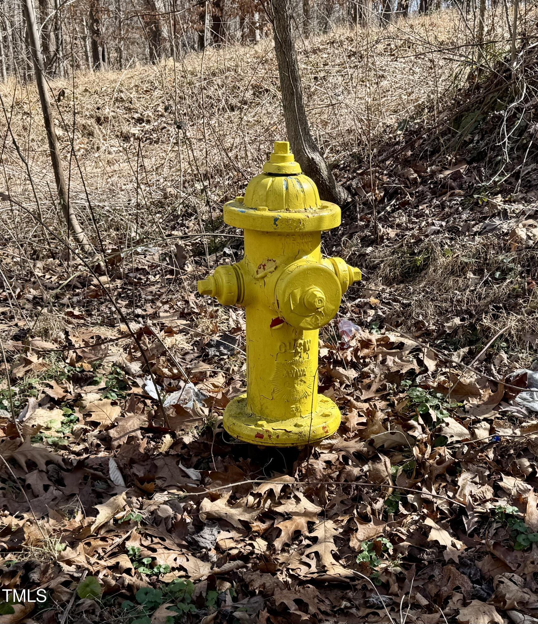 12420 Creedmoor Road Raleigh, NC 27614 - Photo 7 of 11 Fire Hydrant on site