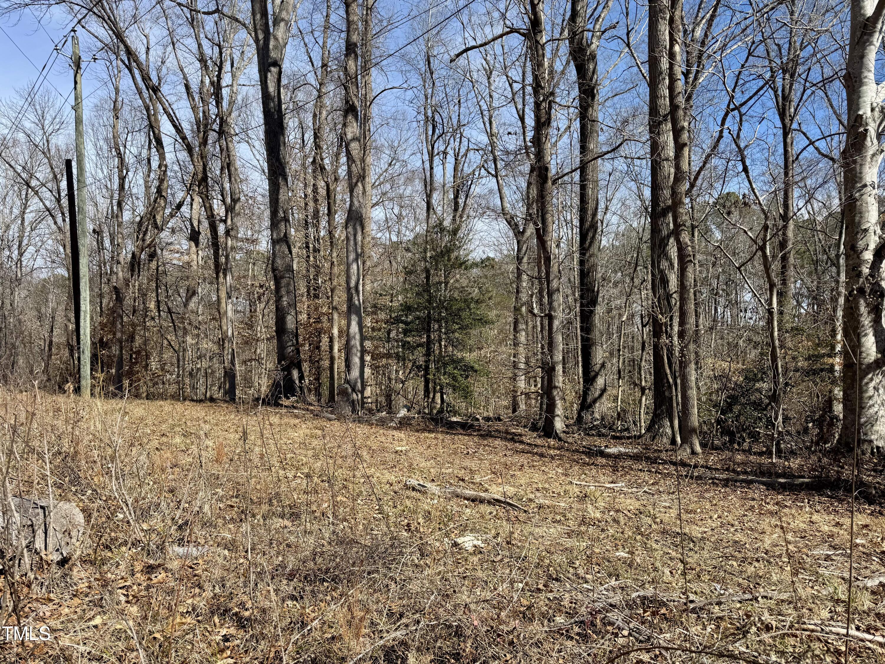 12420 Creedmoor Road Raleigh, NC 27614 - Photo 8 of 11 Utility ROW