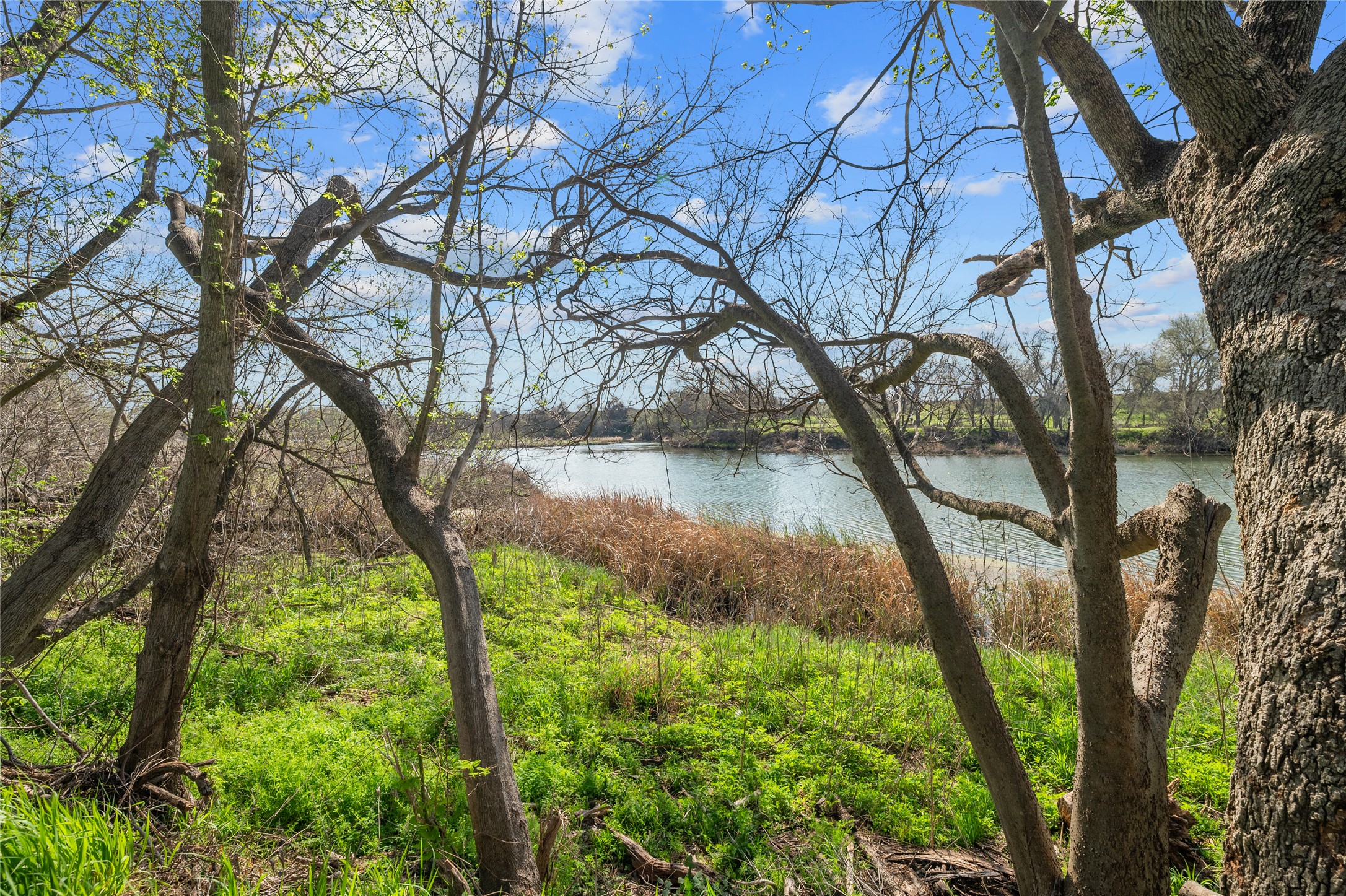 7705 Shelton Road Austin, TX 78725 - Photo 8 of 13