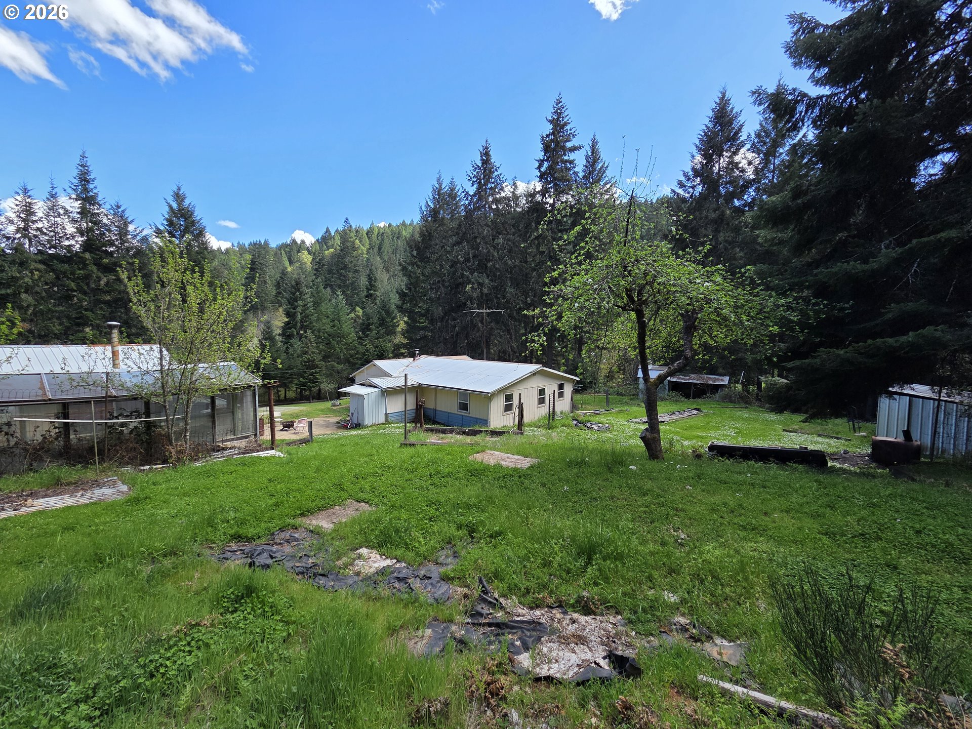 195 Section Creek Road Glendale, OR 97442 - Photo 28 of 32