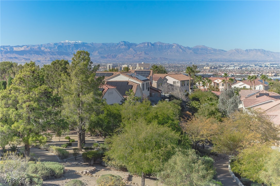 1392 Via Merano Street Henderson, NV 89052 - Photo 26 of 53