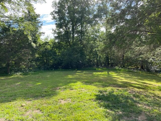4205 Metasville Road Washington, GA 30673 - Photo 13 of 14 image006