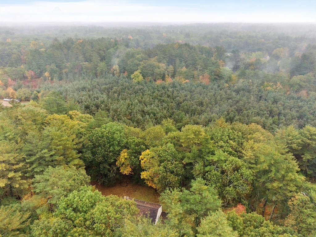 31 Herrick Road Boxford, MA 01921 - Photo 38 of 40 a view of a forest with an trees