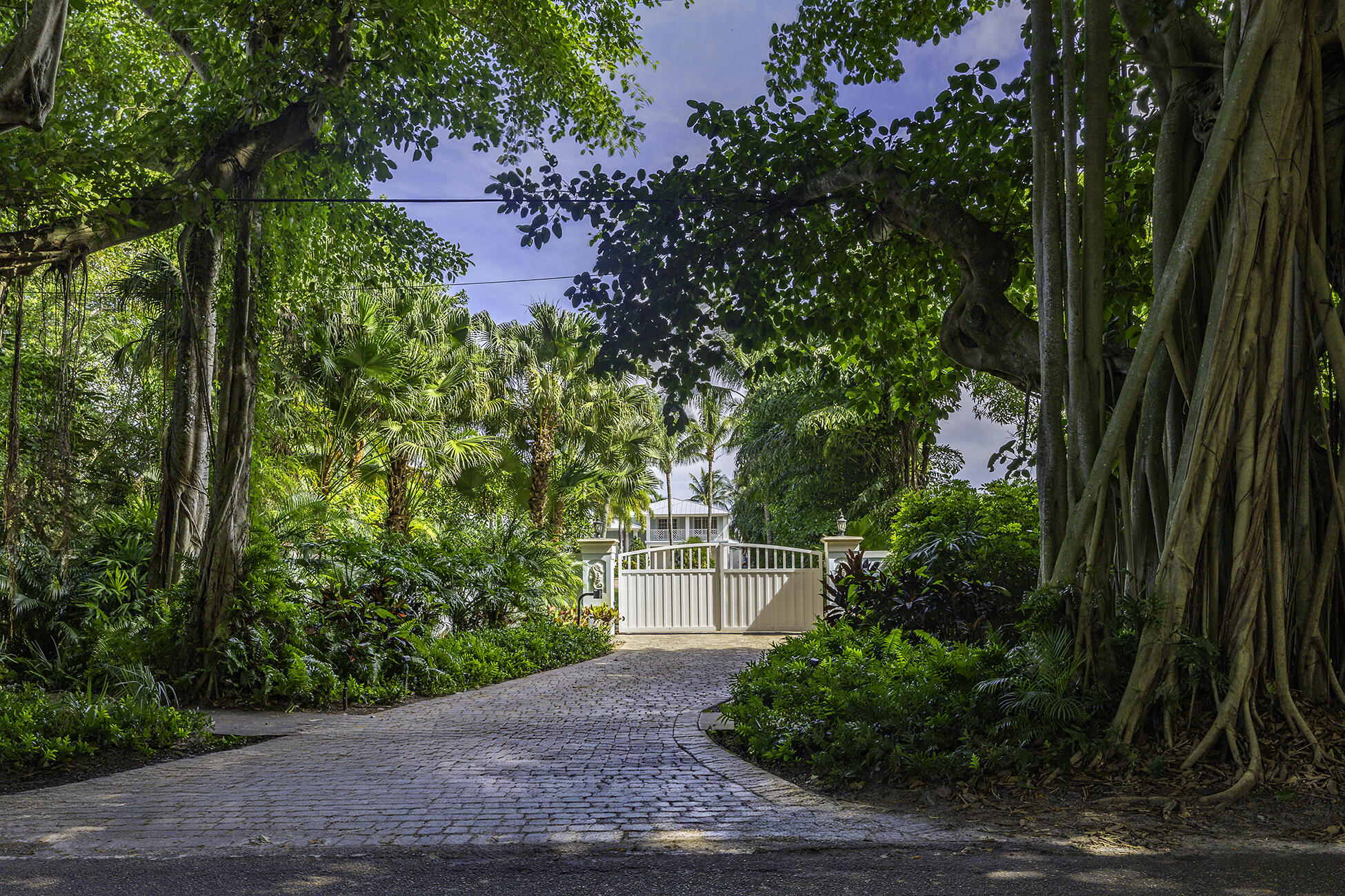 2897 Southeast St Lucie Boulevard Stuart, FL 34997 - Photo 6 of 66 Banyan Tunnel to Gate