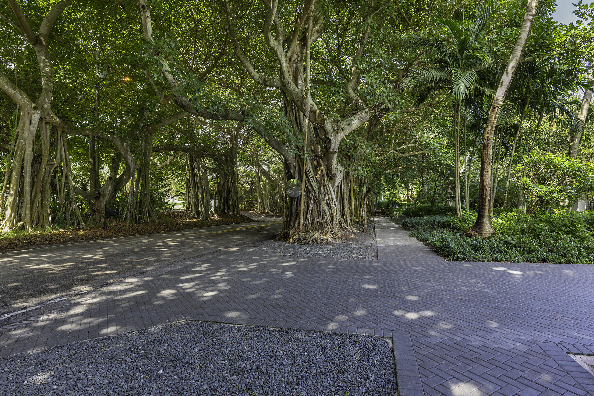 2897 Southeast St Lucie Boulevard Stuart, FL 34997 - Photo 65 of 66 Banyan Tree Tunnel