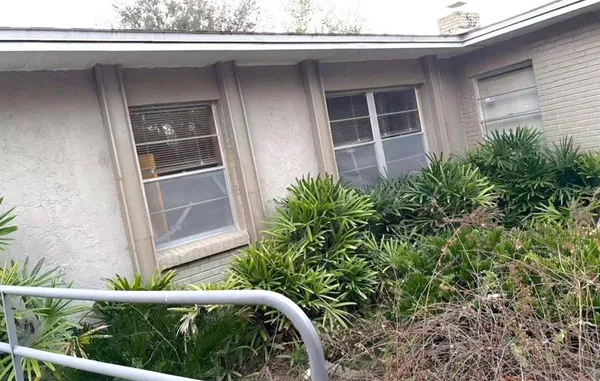 a view of backyard with small cabin and potted plants