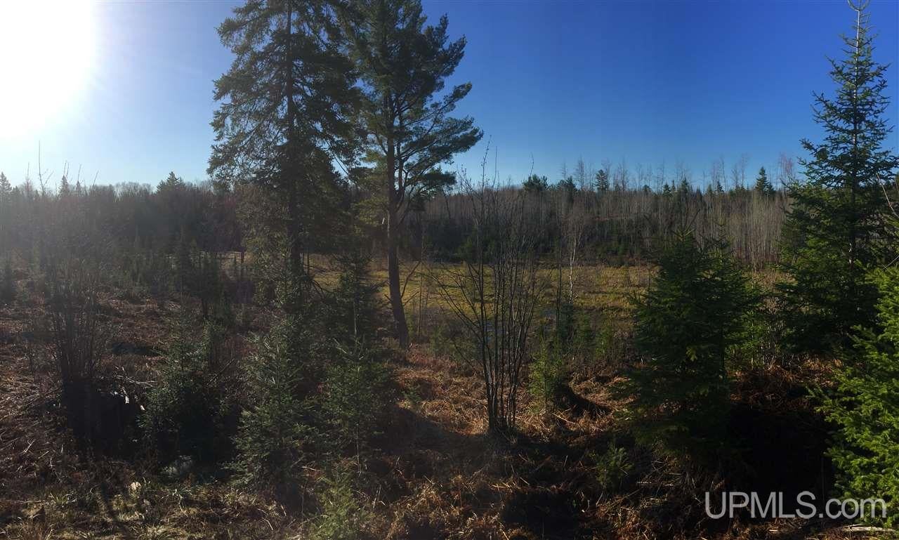 478 Rd Ishpeming Mi 49849 Road, Unit S80 Ishpeming, MI 49849 - Photo 13 of 18 Gallery Image 13