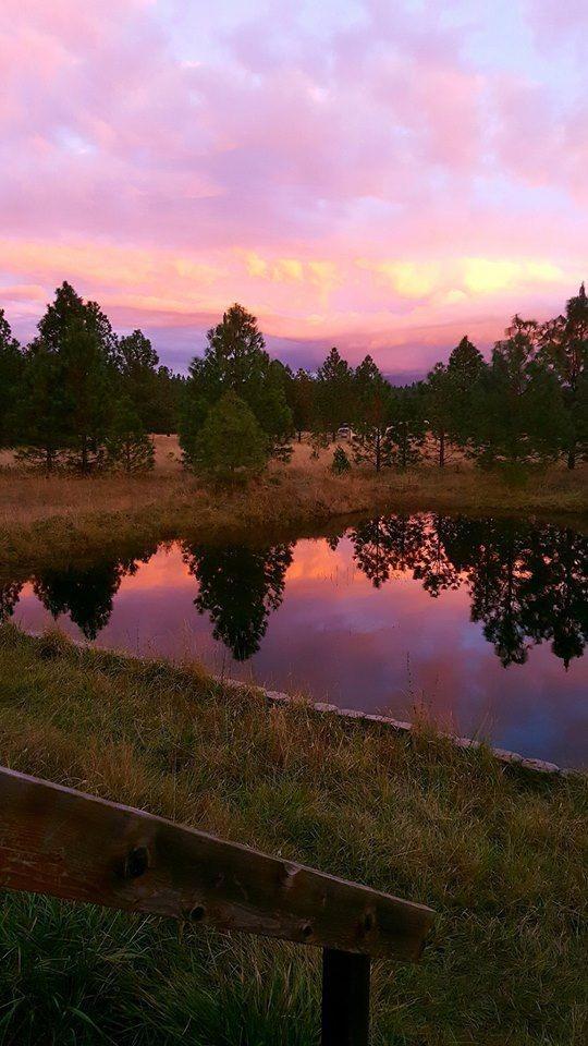 245 Prottsman Way Cave Junction, OR 97523 - Photo 9 of 32 Additional Photo