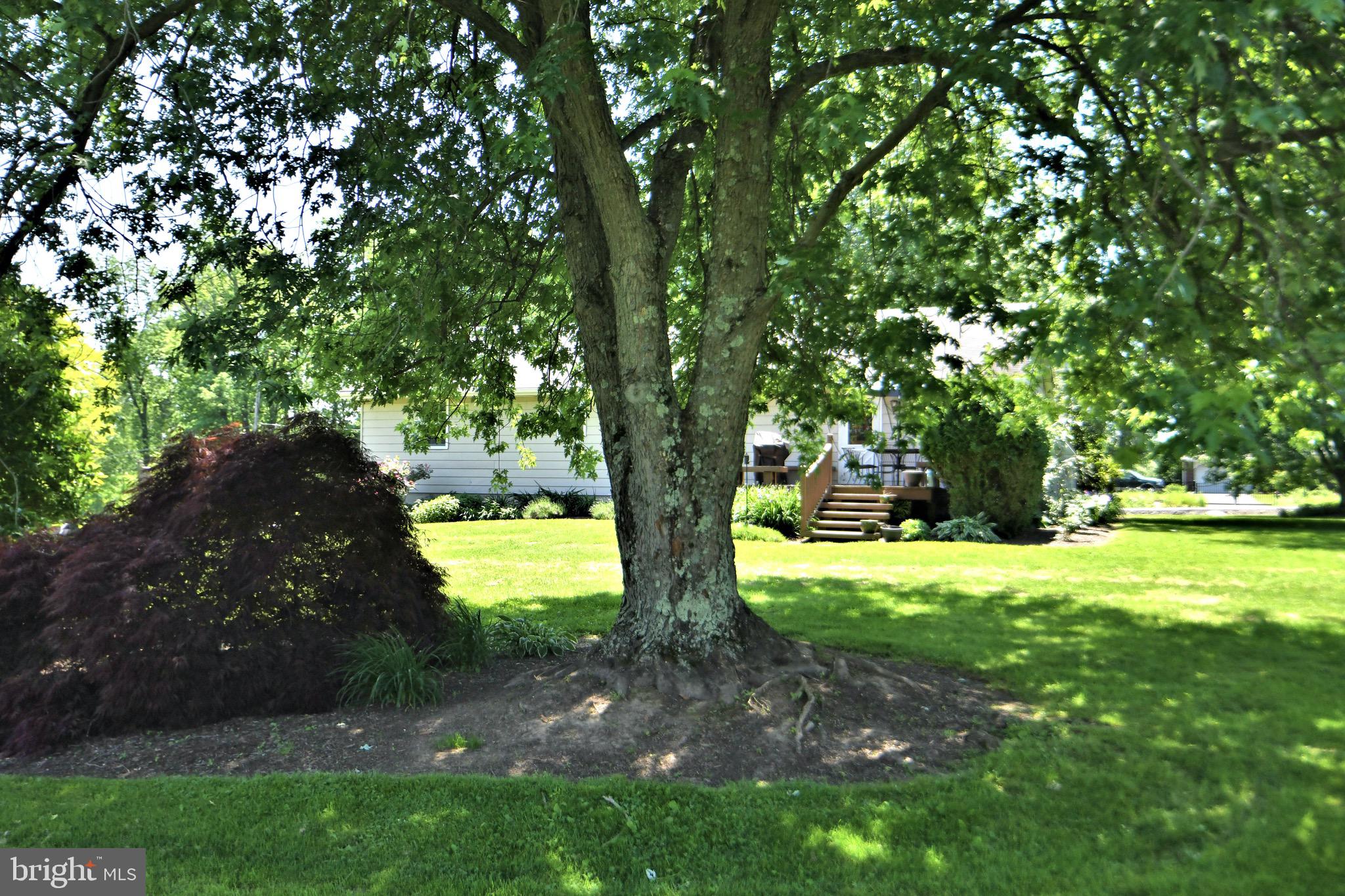 5359 Moyer Road Pipersville, PA 18947 - Photo 66 of 77 Gallery Image 66