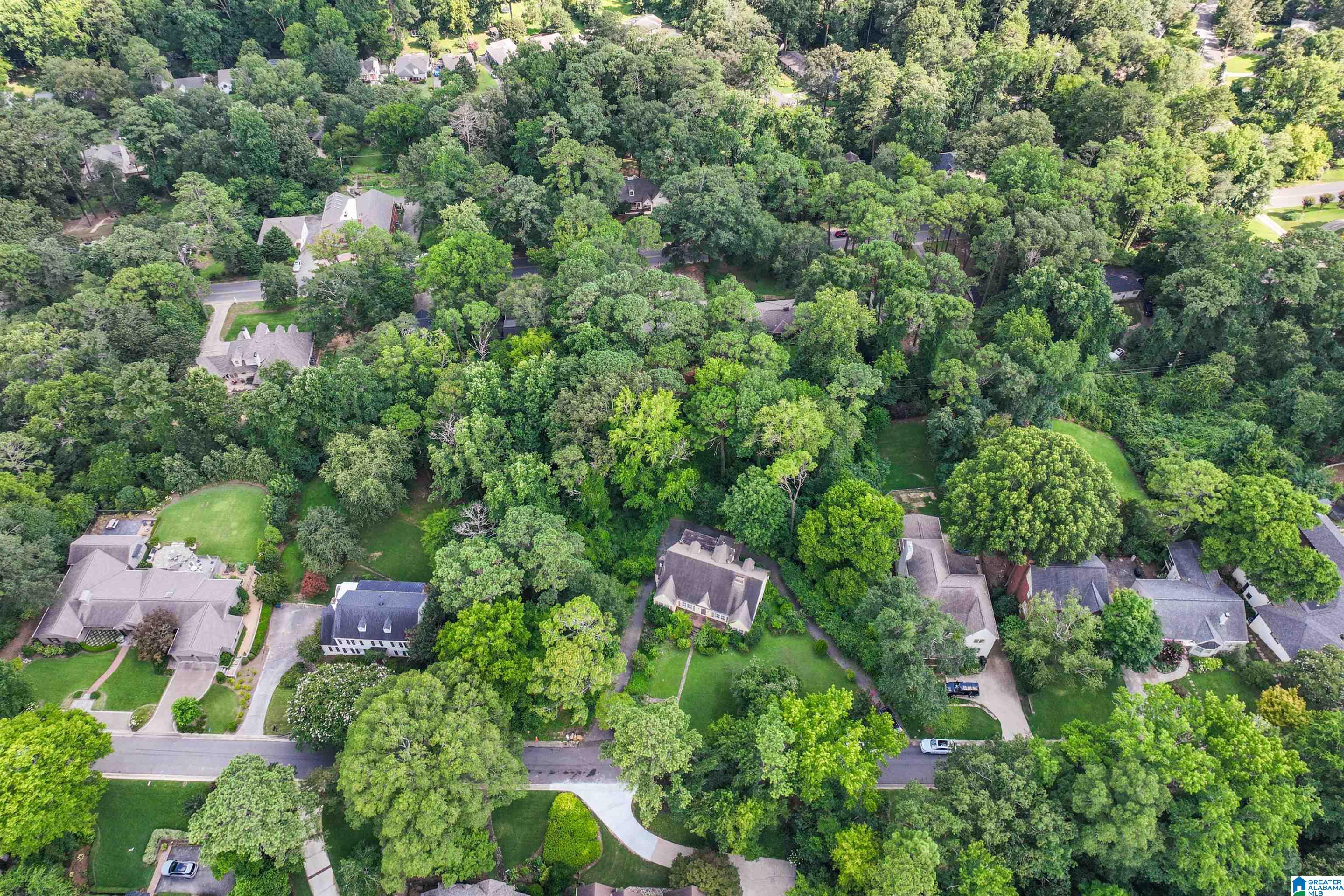 1801 Wellington Road Birmingham, AL 35209 - Photo 4 of 15
