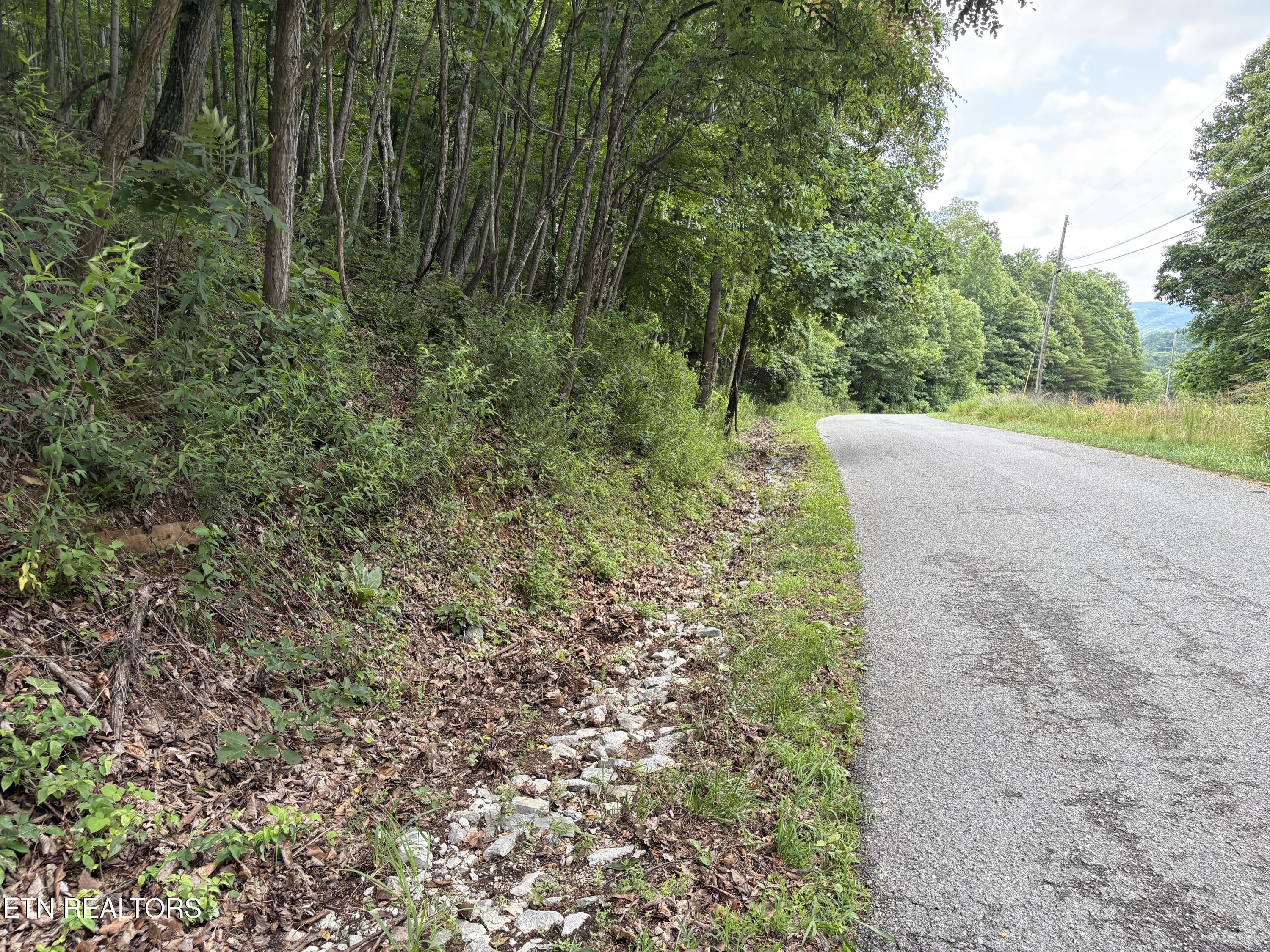Whistle Valley Road, Unit 130 New Tazewell, TN 37825 - Photo 1 of 11 IMG_0272