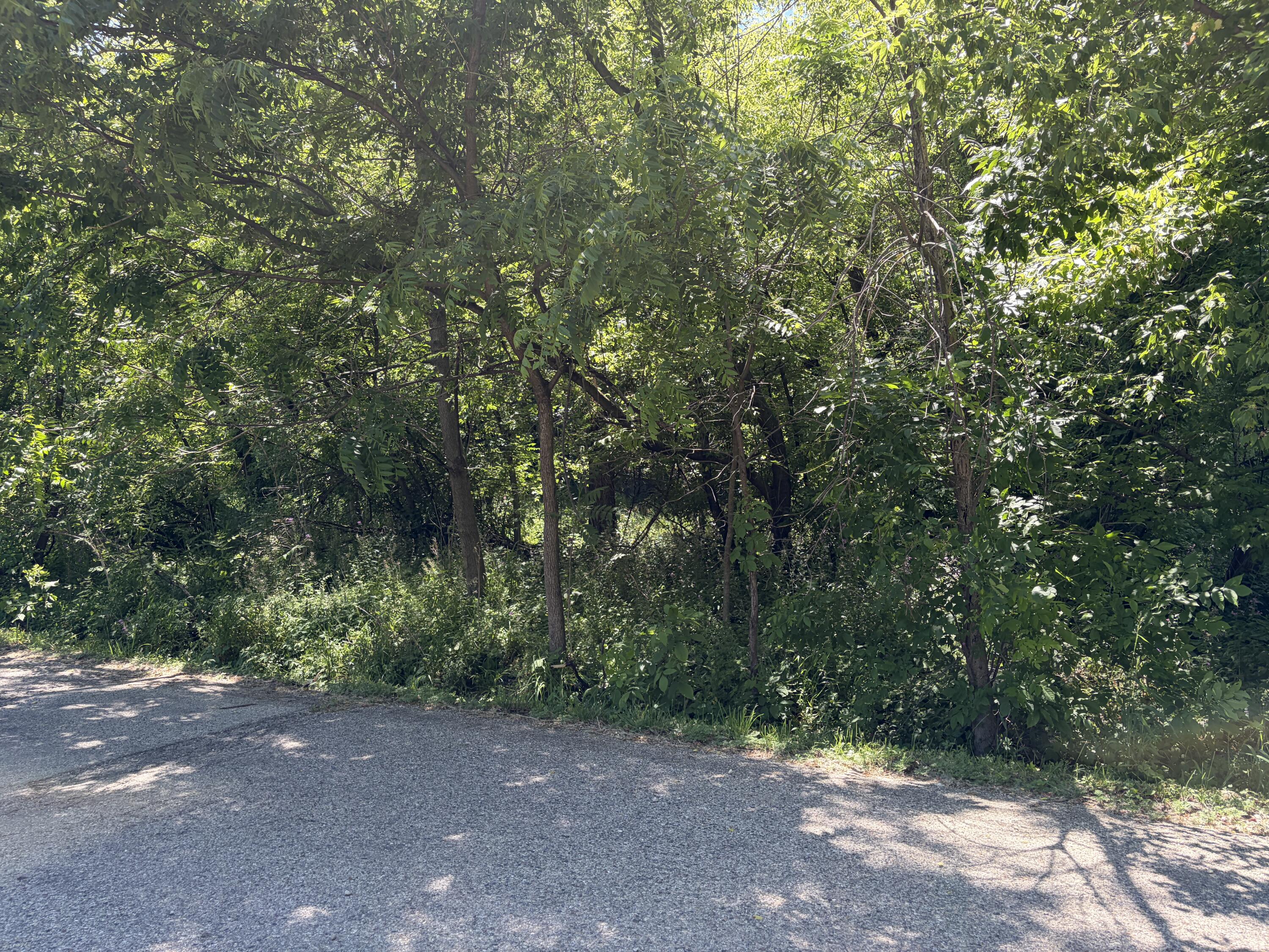 Lt3759 Vine Road, Unit LTS37593763 Geneva, WI 53147 - Photo 2 of 5 IMG_1692