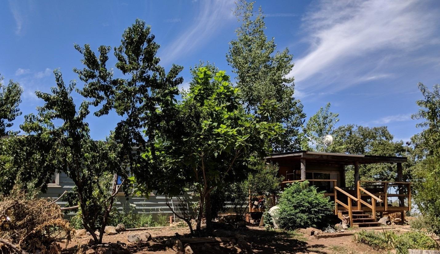 47233 Todd Eymann Road Miramonte, CA 93641 - Photo 1 of 29 Gallery Image 1