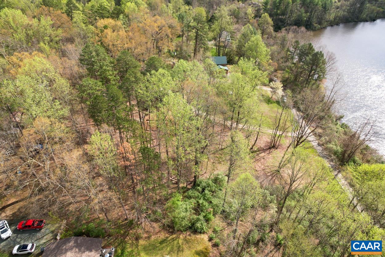 Tbd Lakeside Drive Charlottesville, VA 22901 - Photo 22 of 26 a view of a plants and flowers
