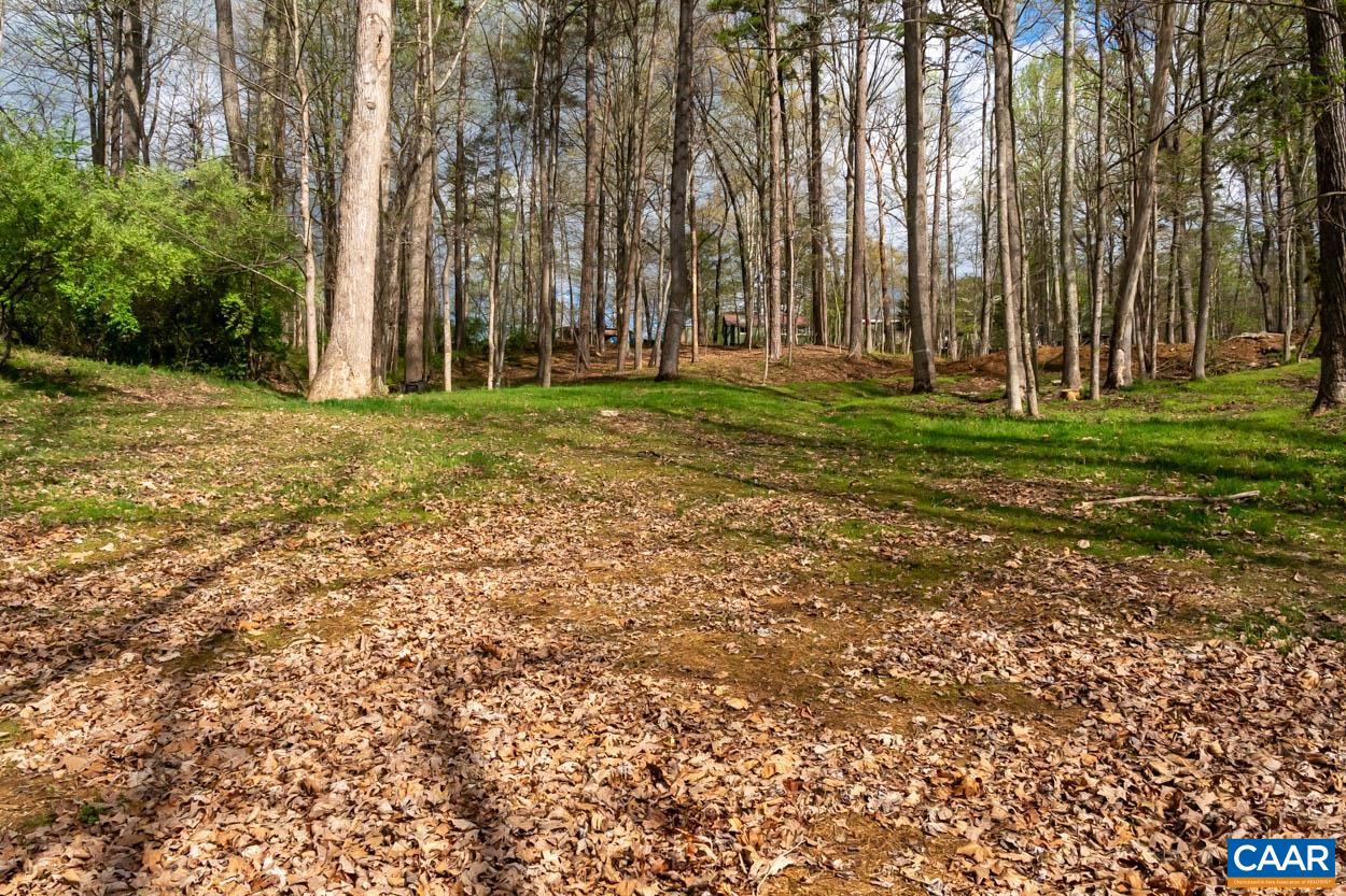 Tbd Lakeside Drive Charlottesville, VA 22901 - Photo 6 of 26 a backyard of apartments with large trees