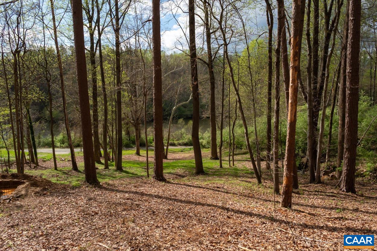 Tbd Lakeside Drive Charlottesville, VA 22901 - Photo 7 of 26 a view of park