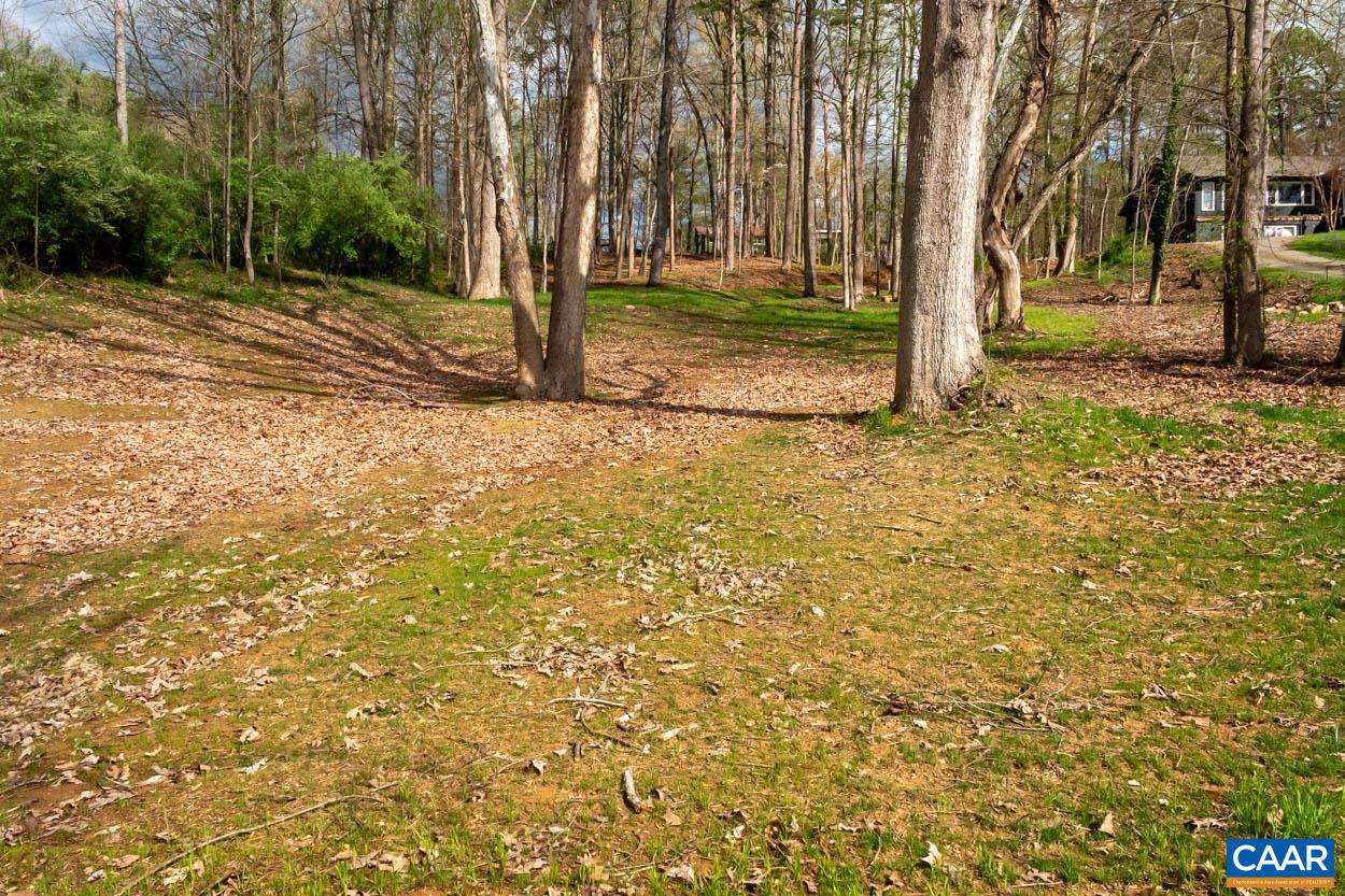 Tbd Lakeside Drive Charlottesville, VA 22901 - Photo 8 of 26 a view of a yard with a tree