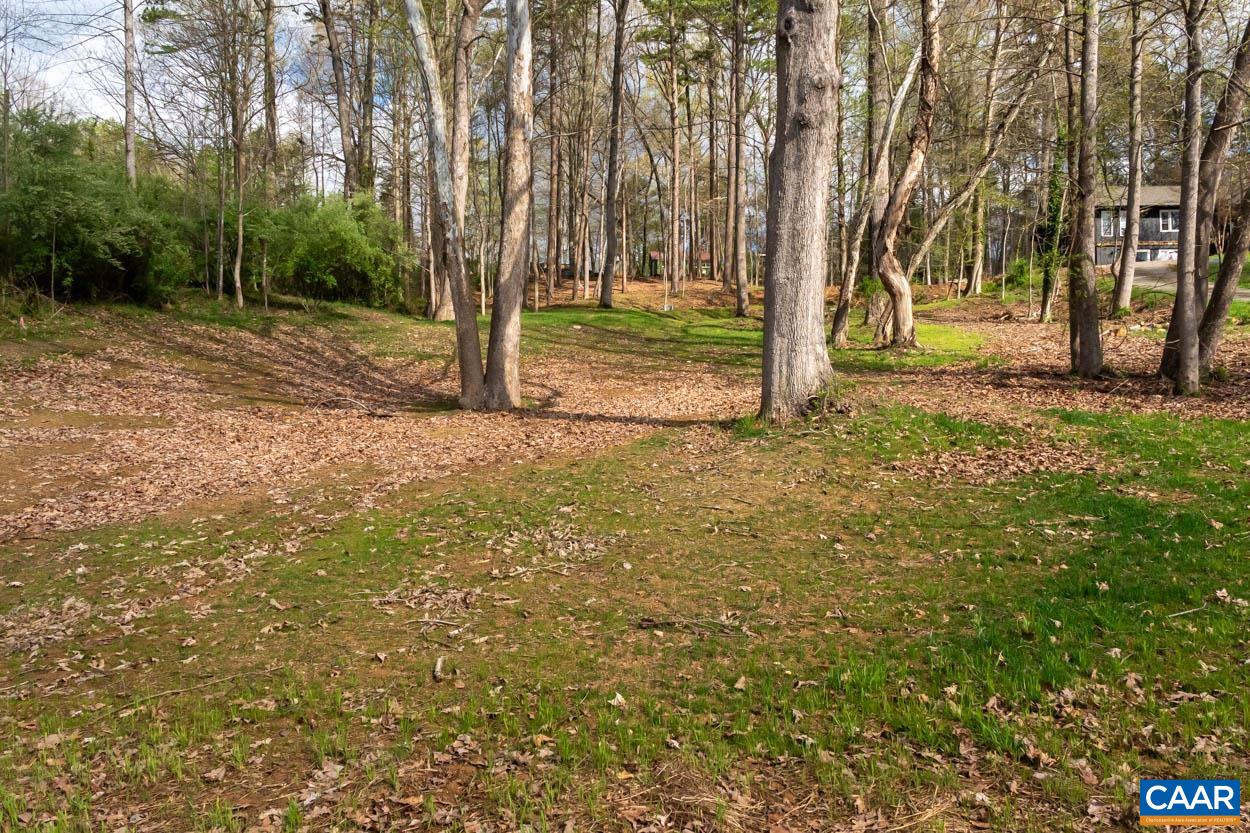 Tbd Lakeside Drive Charlottesville, VA 22901 - Photo 9 of 26 a view of outdoor space with trees