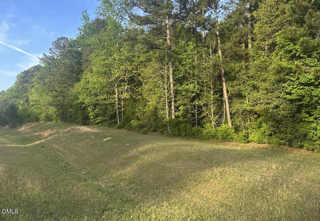 0 L L Cooper Road Cameron, NC 28326 - Photo 5 of 17 a view of a yard with a trees