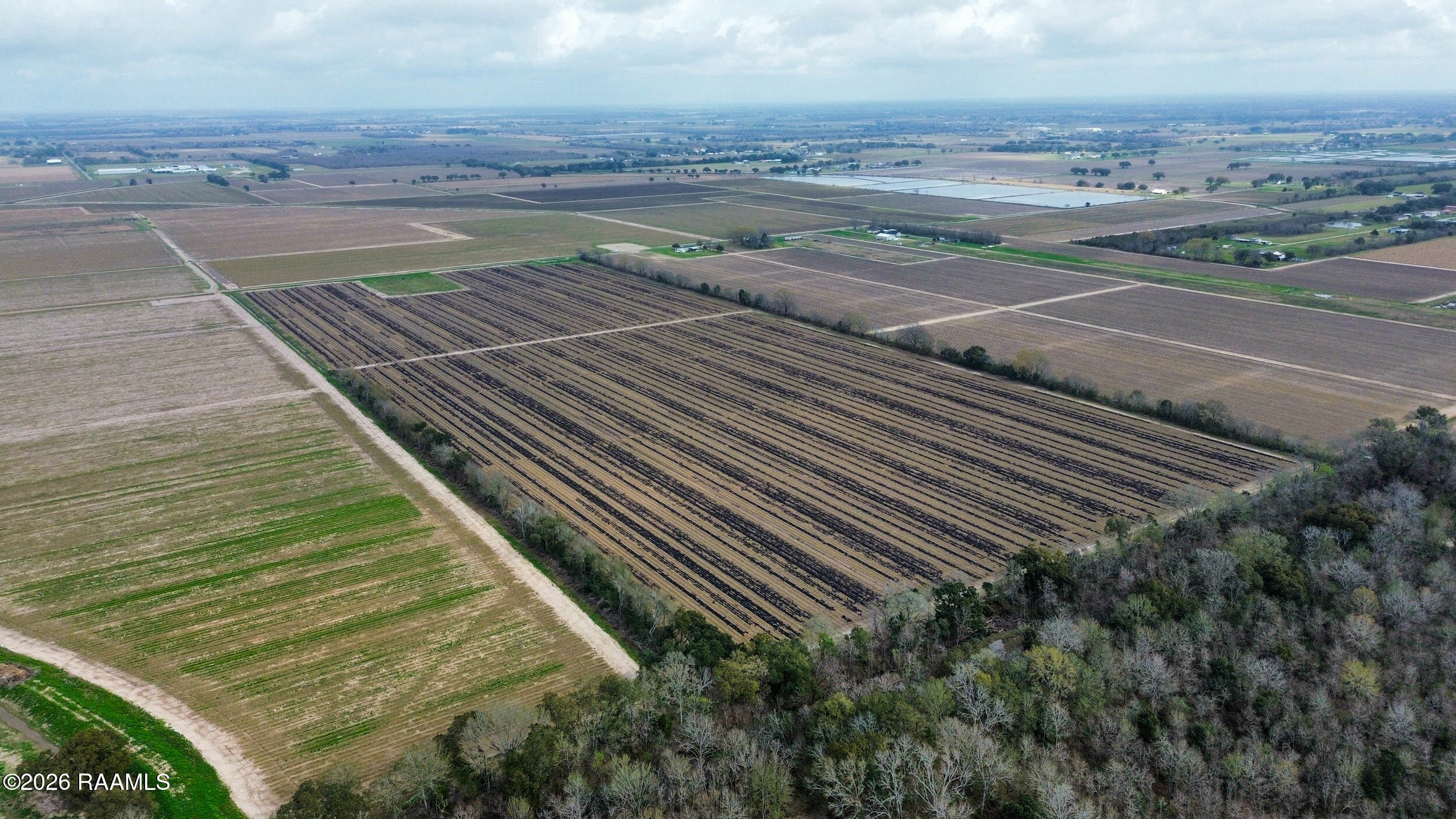 14001 West Etienne Road Maurice, LA 70555 - Photo 2 of 6 1_dji_fly_20260220_102418_141_1771604678