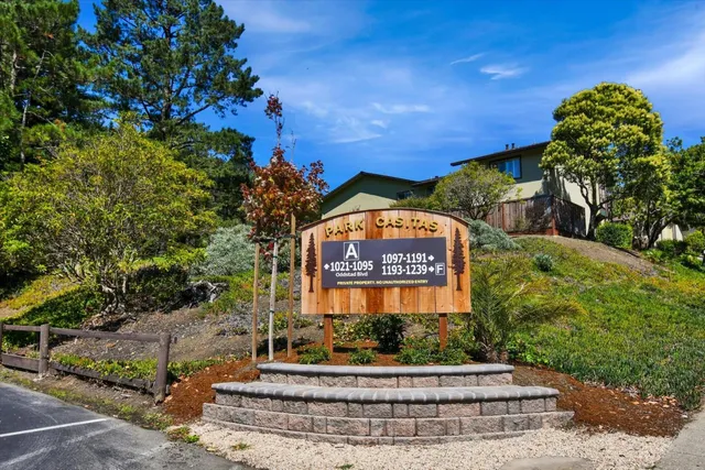 a view of a garden with plants