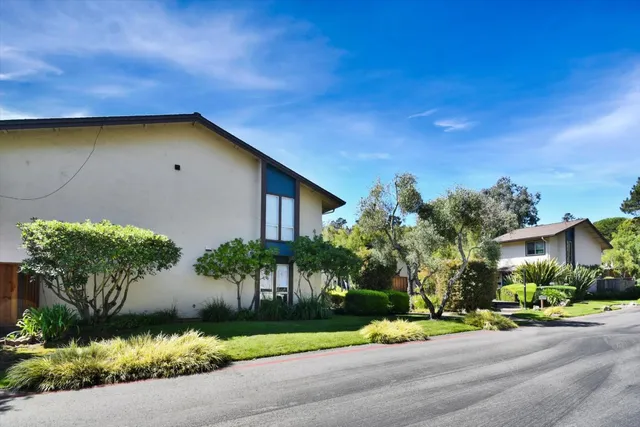 a view of a garden with plants