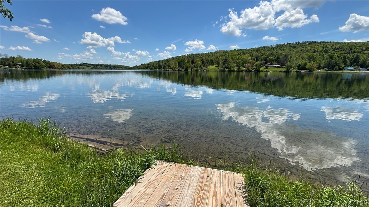 5895 Geer Road Lebanon, NY 13346 - Photo 26 of 32 Crystal clear waterfront
