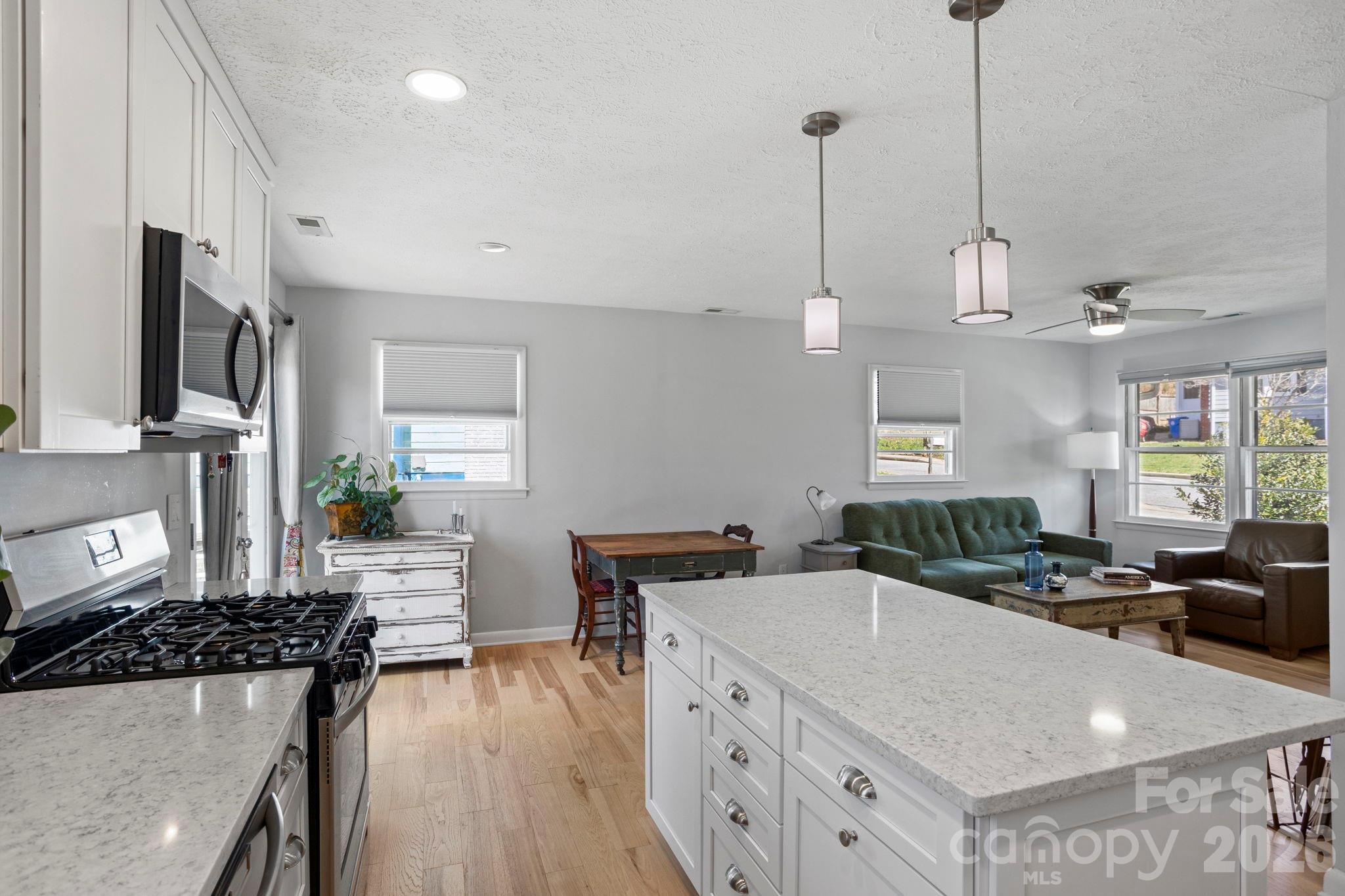 25 Ridgelawn Road Asheville, NC 28806 - Photo 16 of 47 Gallery Image 16