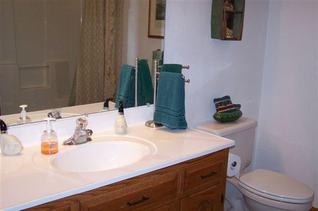 4495 Saunders Road Vinton, VA 24179 - Photo 5 of 11 Bathroom 2