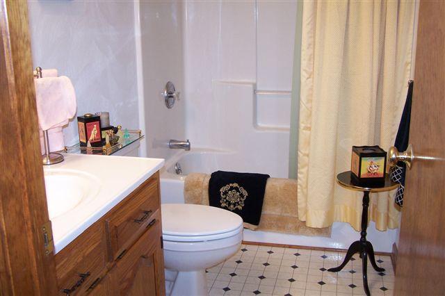 4495 Saunders Road Vinton, VA 24179 - Photo 9 of 11 Bathroom