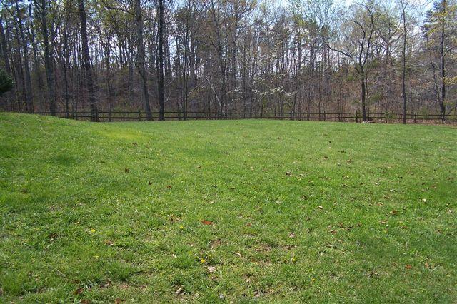 4495 Saunders Road Vinton, VA 24179 - Photo 10 of 11 Yard