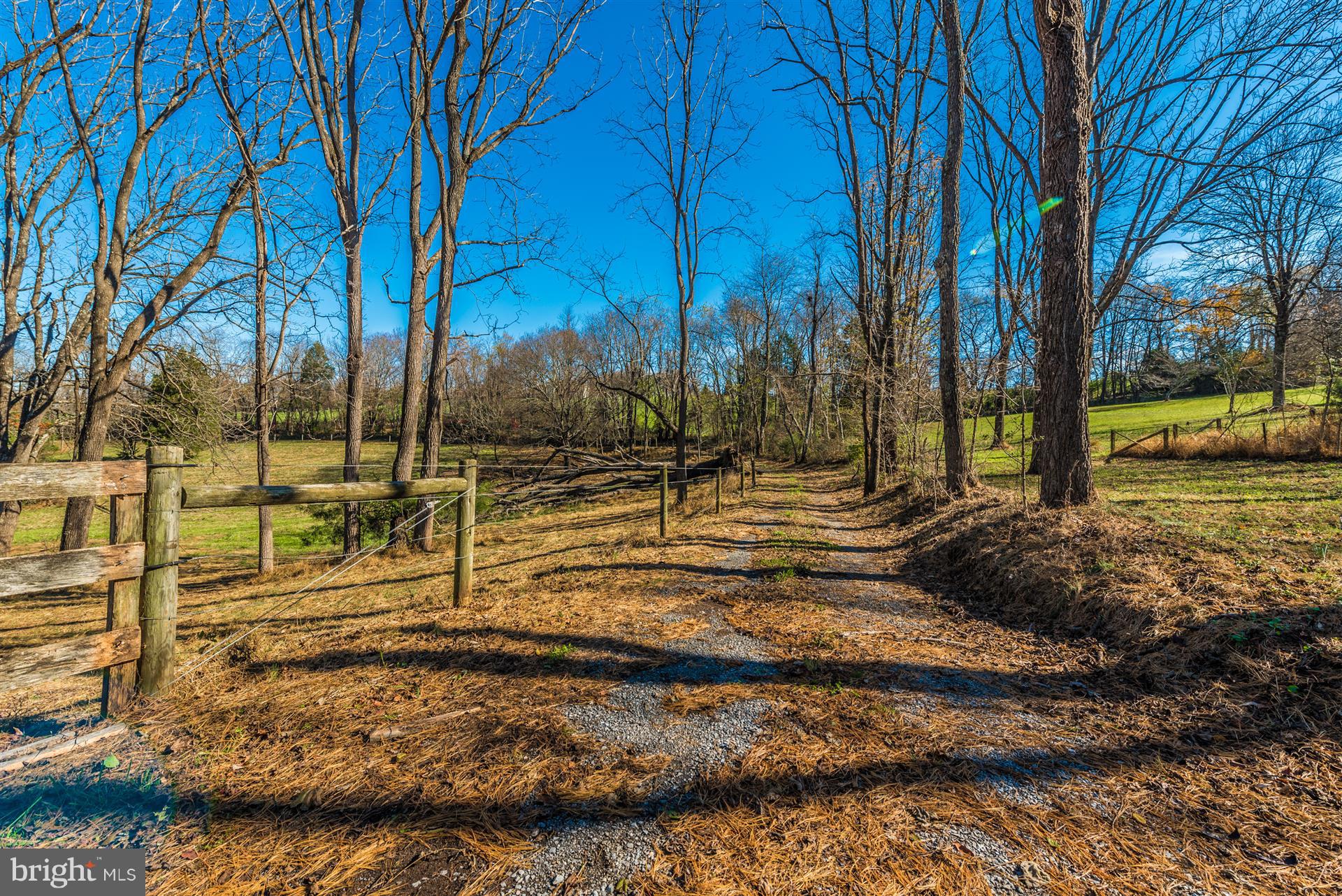 14702 Shirley Bohn Road Mount Airy, MD 21771 - Photo 12 of 41