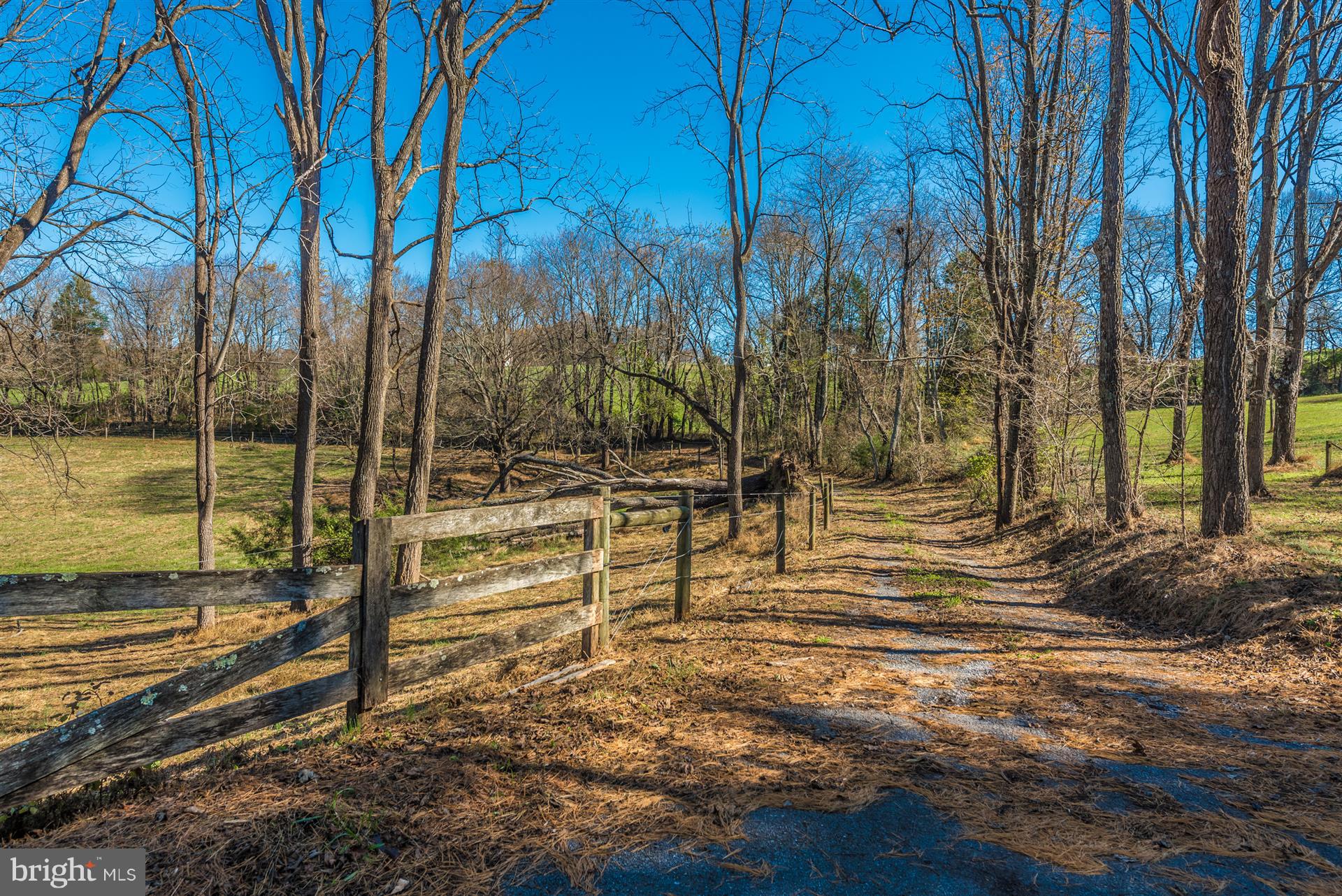 14702 Shirley Bohn Road Mount Airy, MD 21771 - Photo 13 of 41