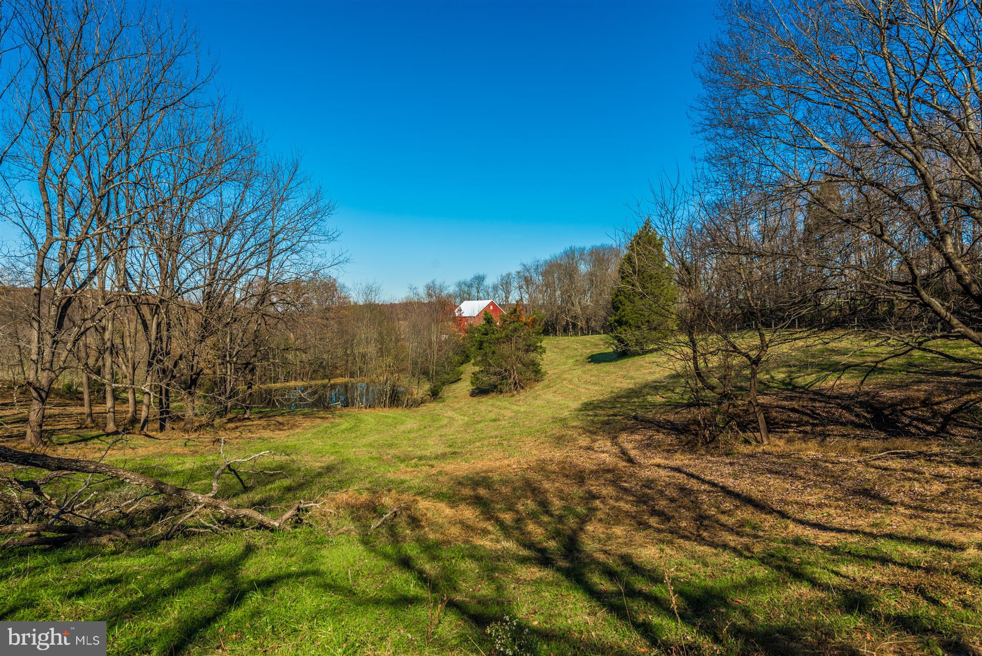 14702 Shirley Bohn Road Mount Airy, MD 21771 - Photo 16 of 41