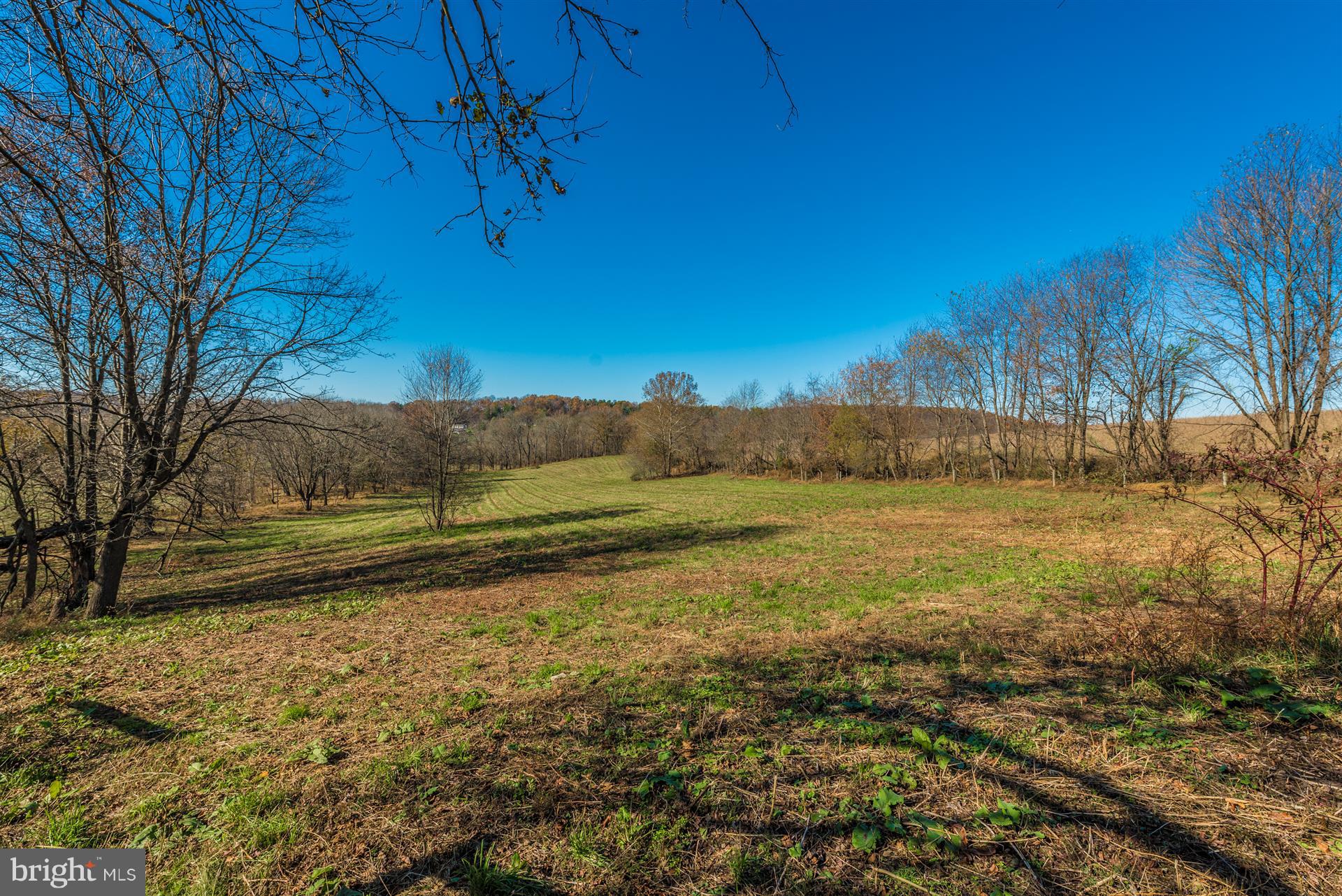 14702 Shirley Bohn Road Mount Airy, MD 21771 - Photo 22 of 41