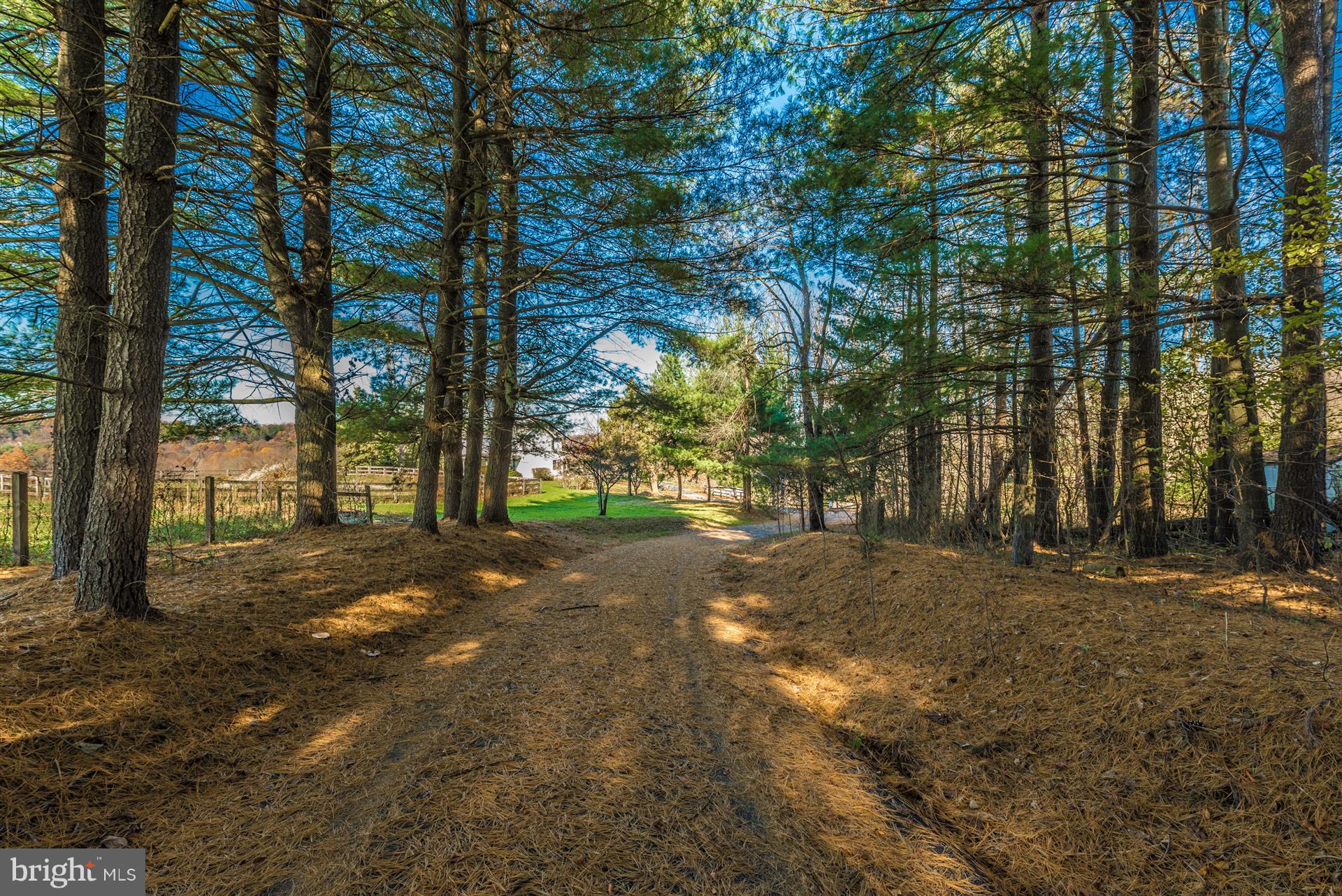 14702 Shirley Bohn Road Mount Airy, MD 21771 - Photo 32 of 41