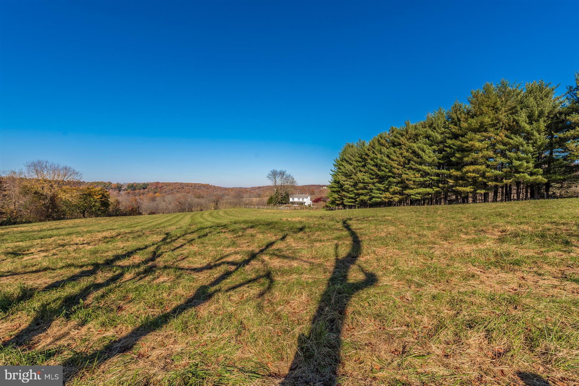 14702 Shirley Bohn Road Mount Airy, MD 21771 - Photo 34 of 41