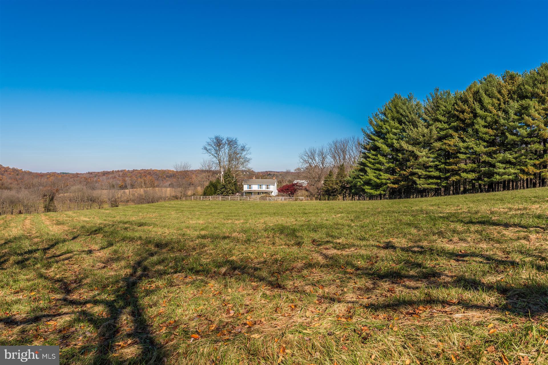 14702 Shirley Bohn Road Mount Airy, MD 21771 - Photo 35 of 41
