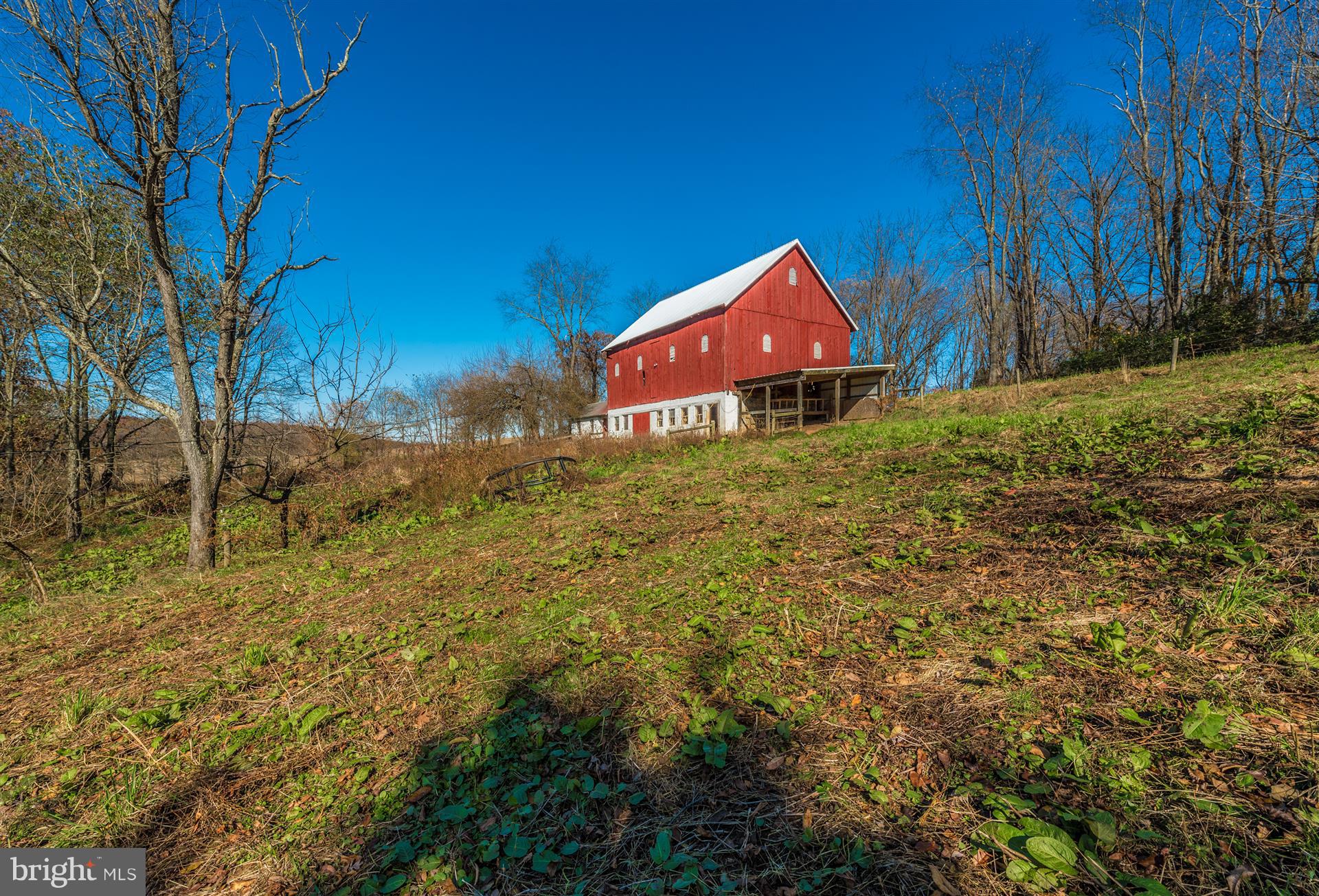 14702 Shirley Bohn Road Mount Airy, MD 21771 - Photo 36 of 41
