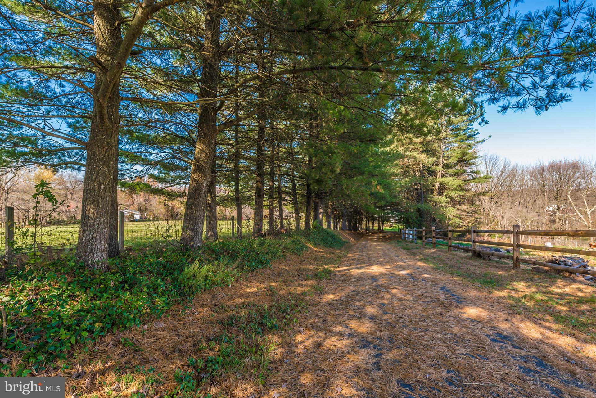 14702 Shirley Bohn Road Mount Airy, MD 21771 - Photo 41 of 41