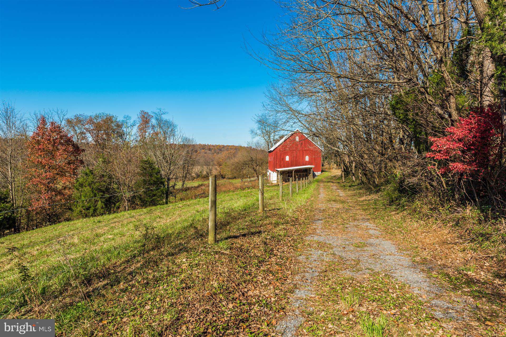 14702 Shirley Bohn Road Mount Airy, MD 21771 - Photo 8 of 41