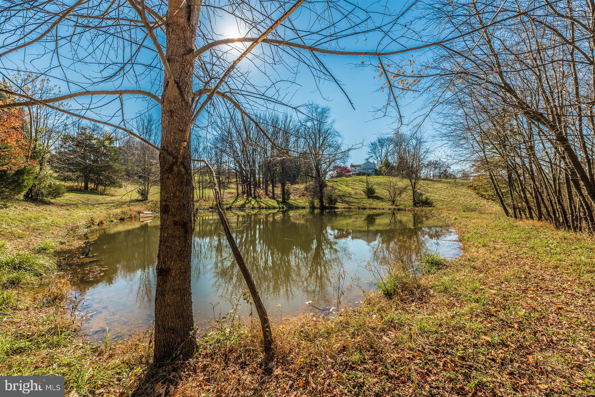 14702 Shirley Bohn Road Mount Airy, MD 21771 - Photo 10 of 41