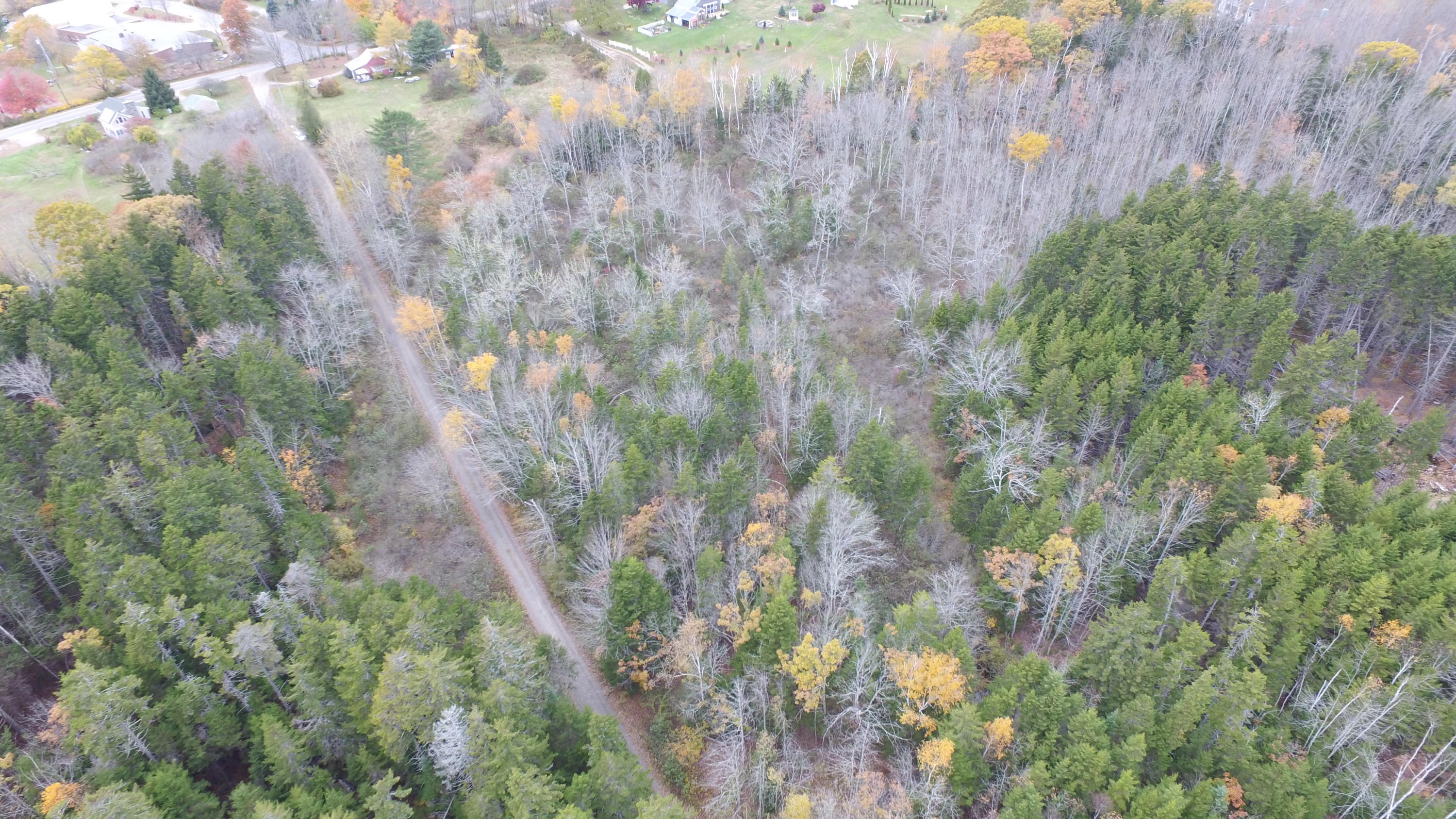 DJI_0069