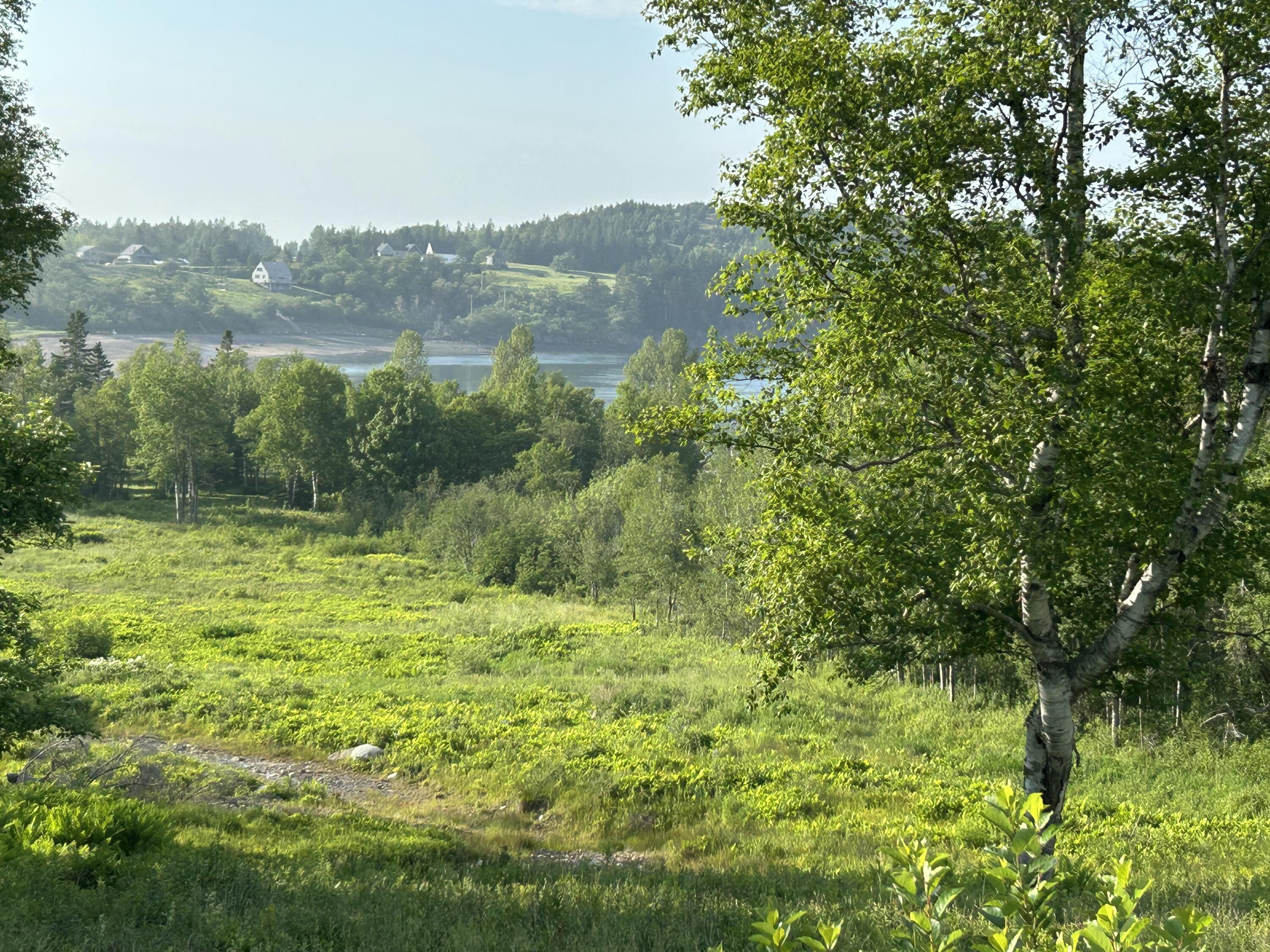 27 Redoubt Hill Road Eastport, ME 04631 - Photo 2 of 6 Open Field