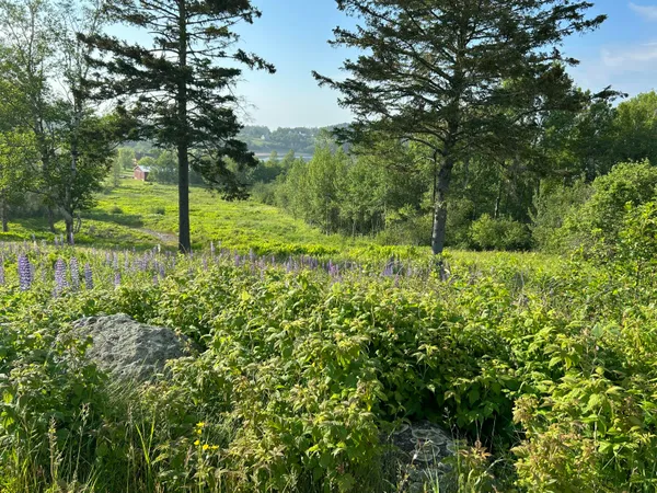 $85,000 | 27 Redoubt Hill Road, Eastport, ME 04631