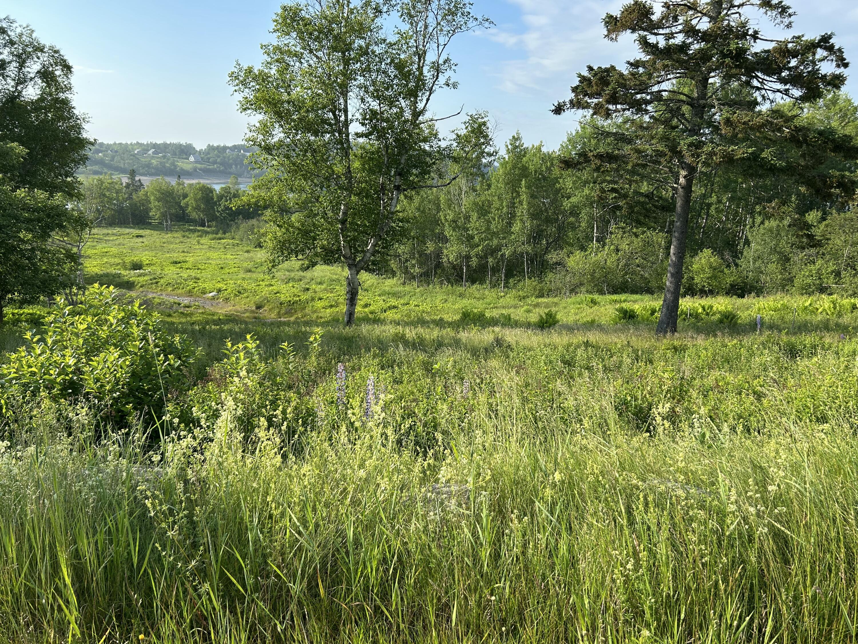 27 Redoubt Hill Road Eastport, ME 04631 - Photo 6 of 6 IMG_3023 2