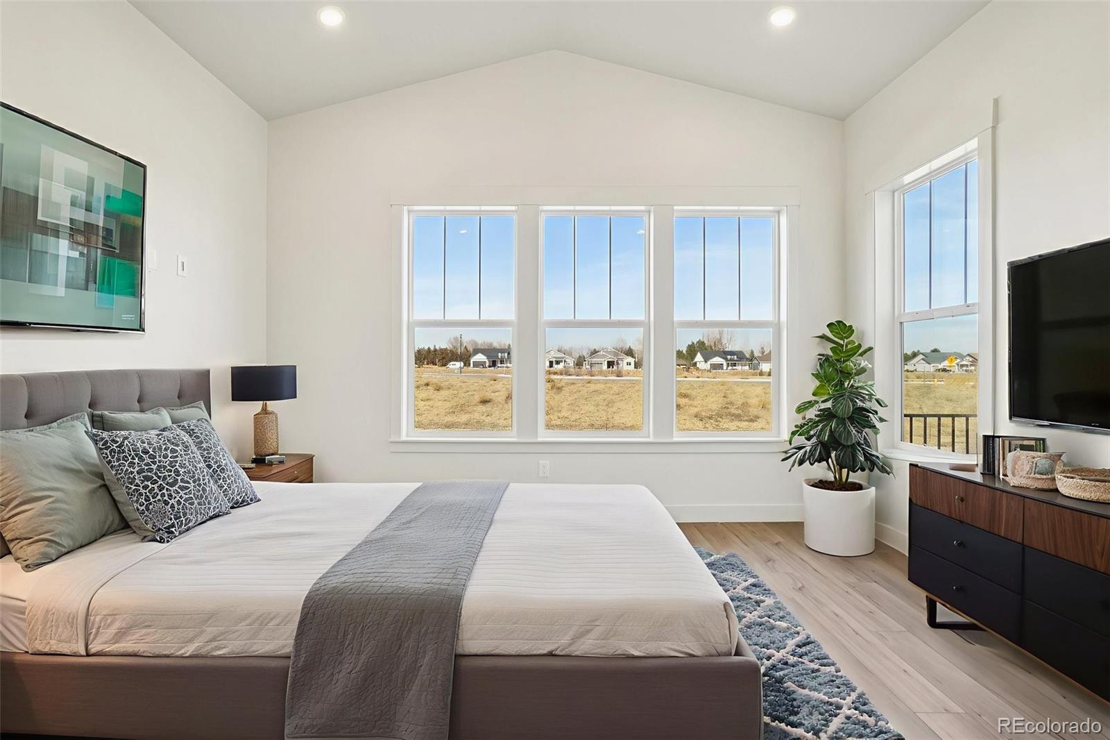 1738 Morningstar Way Fort Collins, CO 80524 - Photo 33 of 47 a bedroom with a large bed and a potted plant