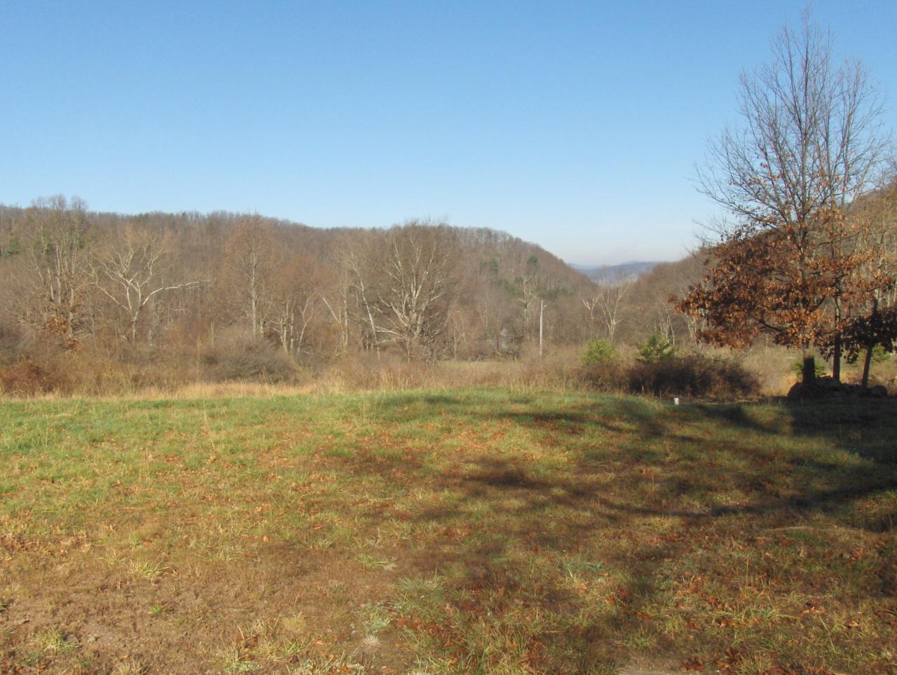 3220 Green Valley Road Peterstown, WV 24963 - Photo 40 of 43 lot view 5