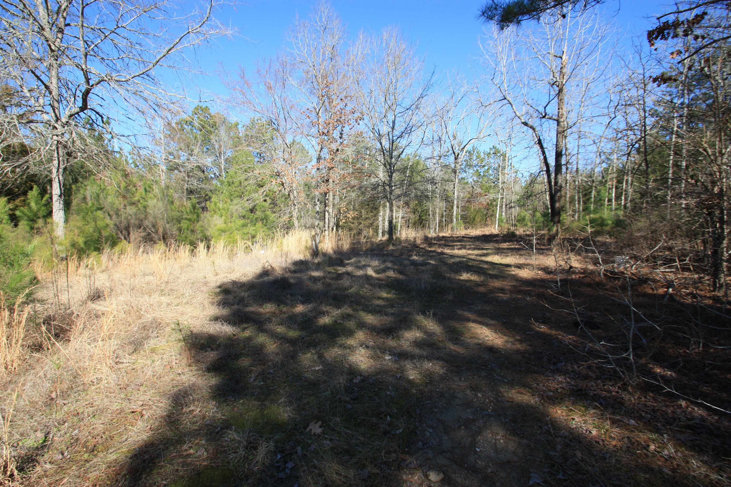 680 Dove Field Road Cross Hill, SC 29332 - Photo 4 of 17 Gallery Image 4