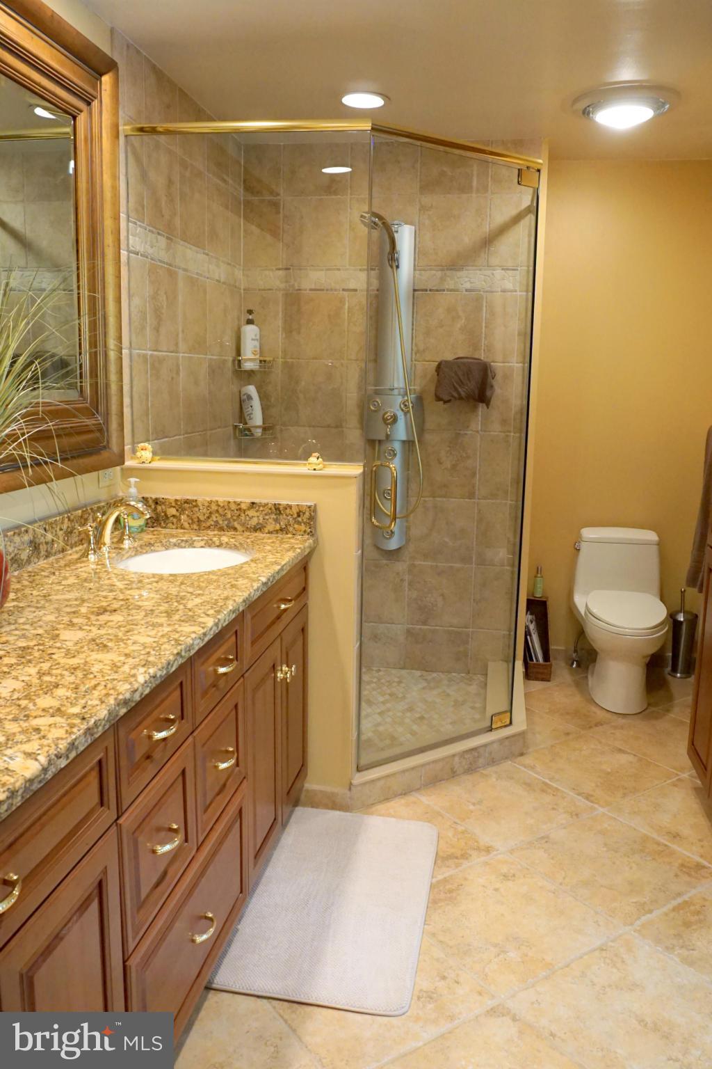 3513 Golden Eagle Road Phoenix, MD 21131 - Photo 12 of 30 Bath (Master)